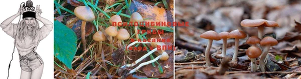 хмурый Михайловск