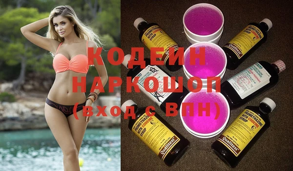хмурый Михайловск
