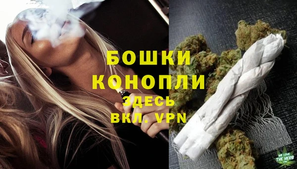 хмурый Михайловск