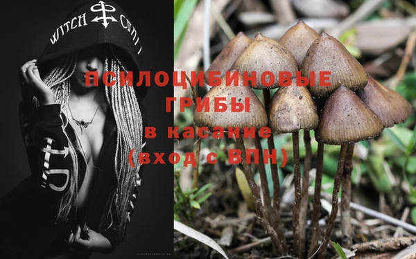 хмурый Михайловск