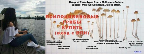 круглые Апатиты